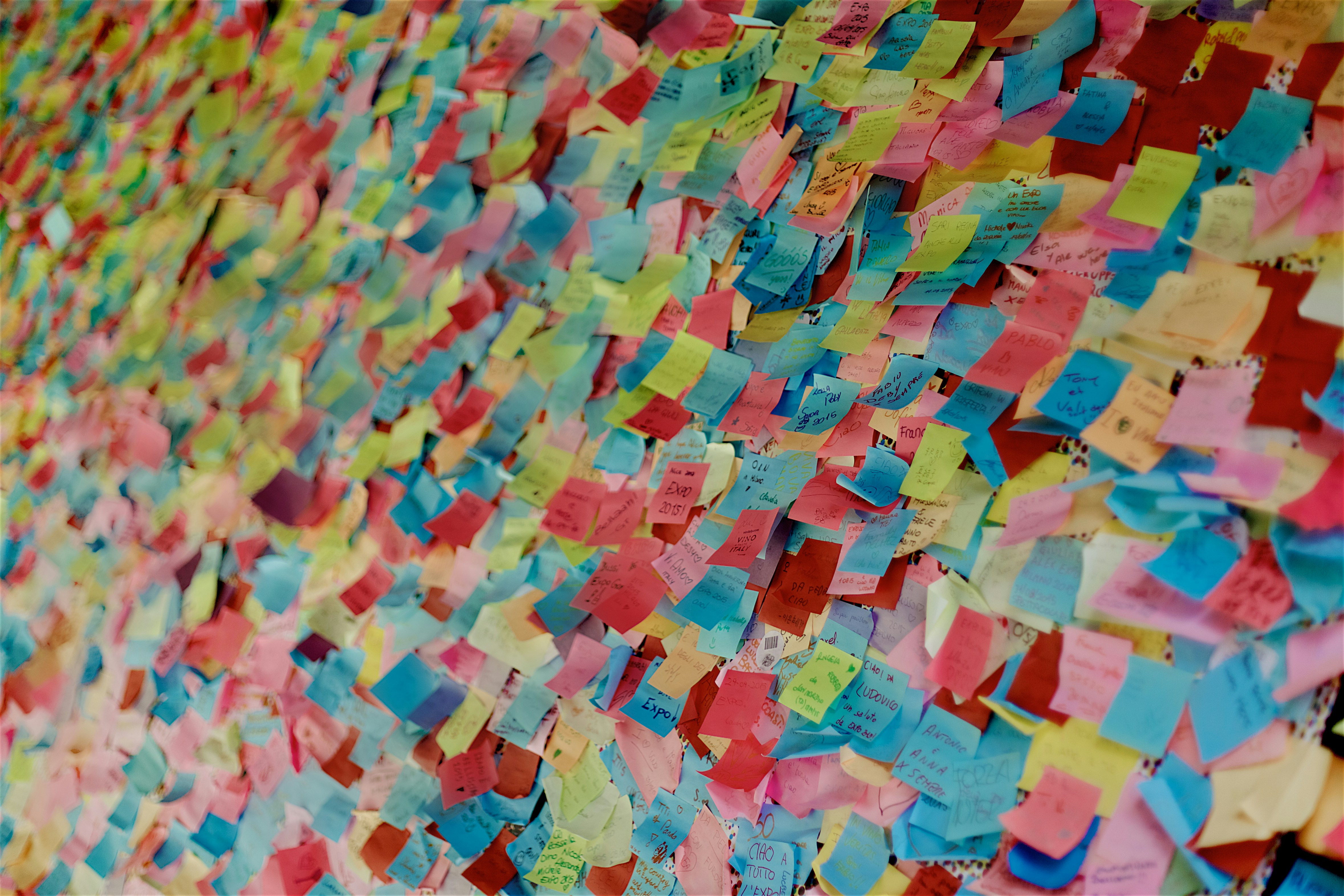 Photo by Paolo Chiabrando